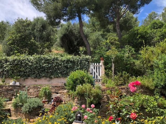 Logement Zen Sur La Colline Aux Mimosas Hyeres Bagian luar foto