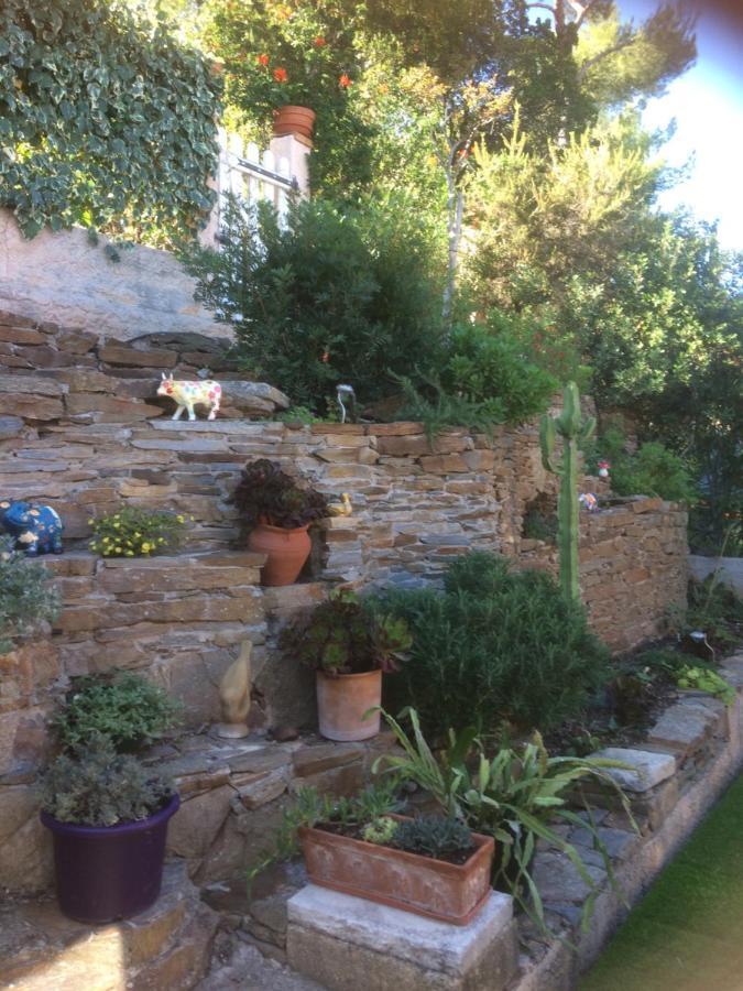 Logement Zen Sur La Colline Aux Mimosas Hyeres Bagian luar foto