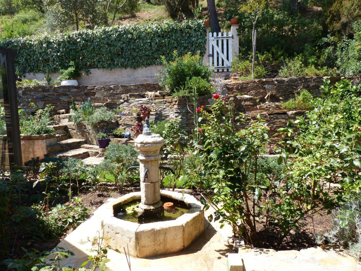 Logement Zen Sur La Colline Aux Mimosas Hyeres Bagian luar foto